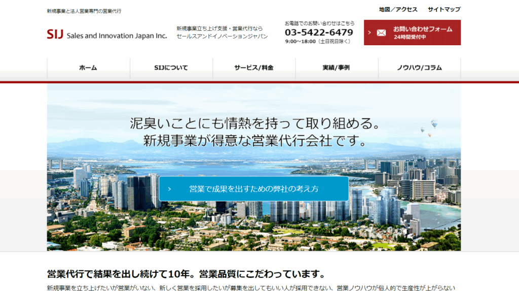 株式会社Sales and Innovation Japan