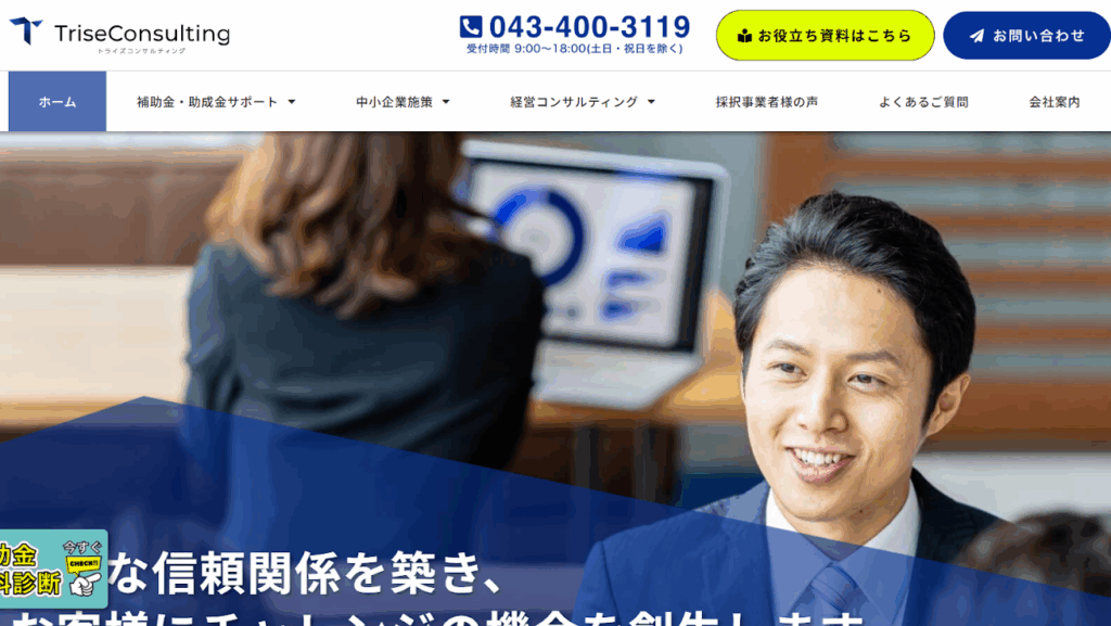 株式会社トライズコンサルティング